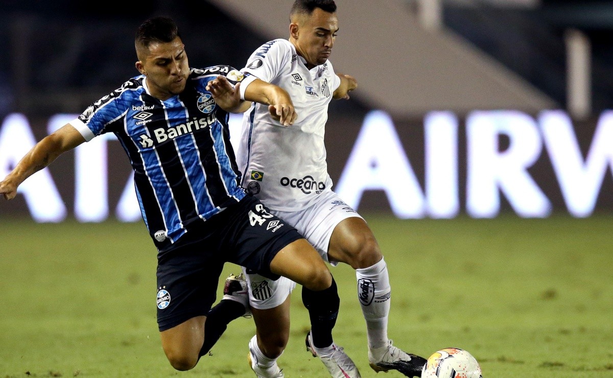 Grêmio và Santos là 2 đội tham gia giải vô địch quốc gia Brazil nhiều nhất Grêmio và Santos là 2 đội tham gia giải vô địch quốc gia Brazil nhiều nhất
